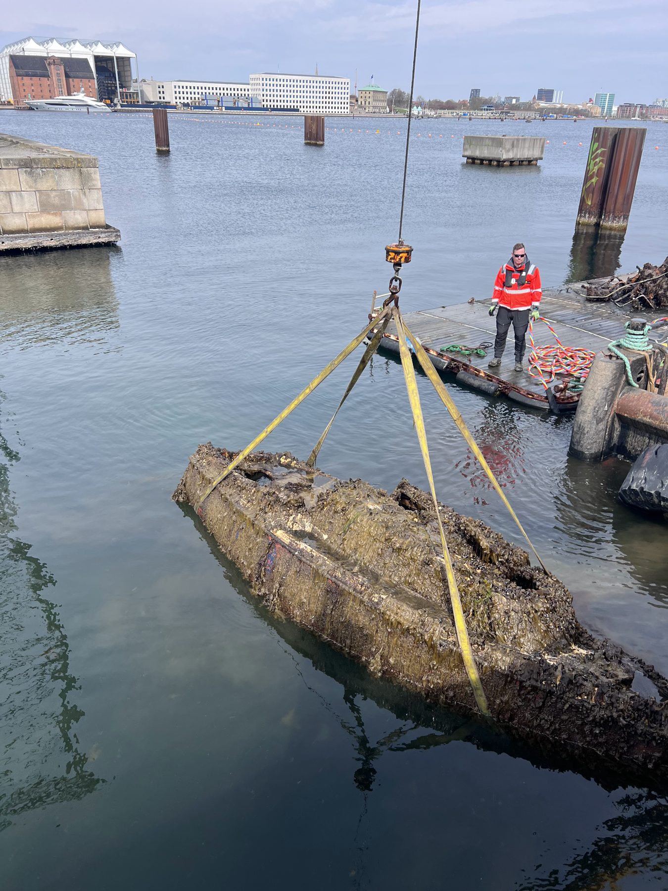 Kran løfter et kraftigt begroet bådskrog op af vandet i Københavns Havn